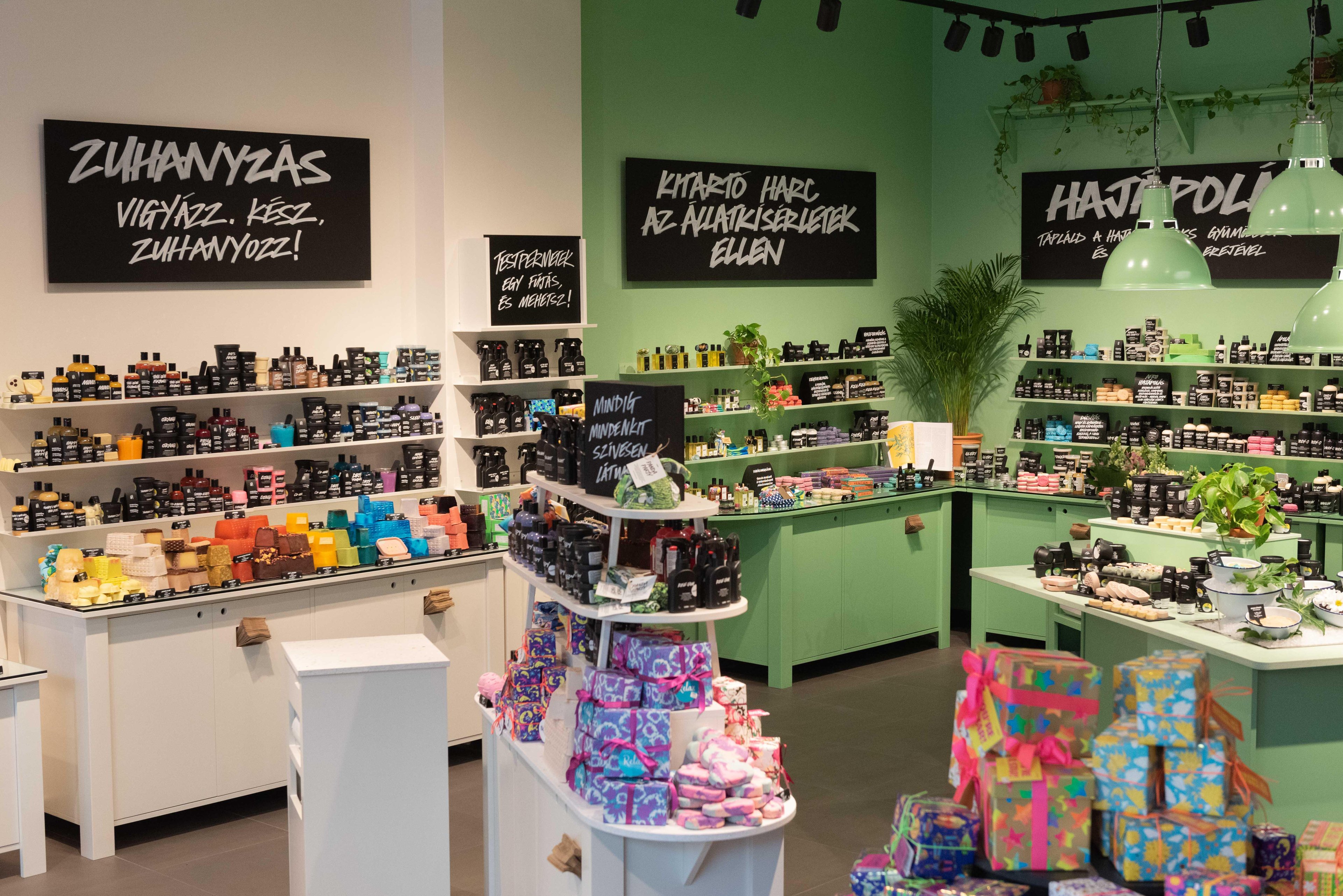 Interior of the shop, left half of the wall painted white right half of the wall painted green. Abundant displays of various packaged and unpackaged products, with a display island in the foreground.