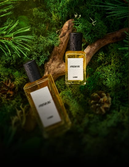 Perfume
