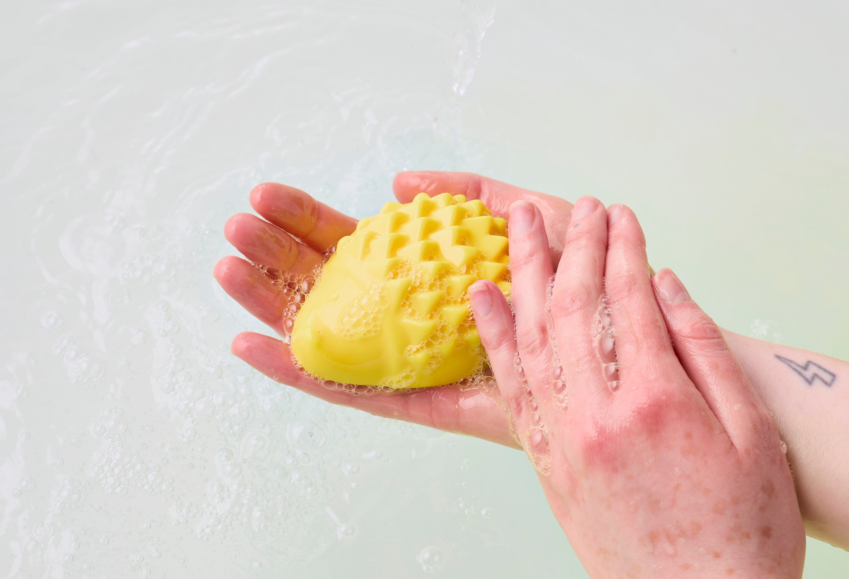 Lush Giving