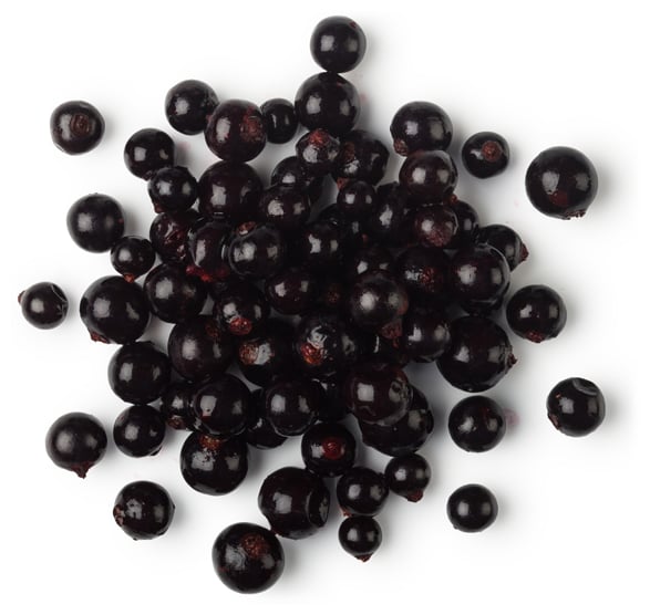 Ribes Nigrum Fruit Powder (prášek z bio černého rybízu)