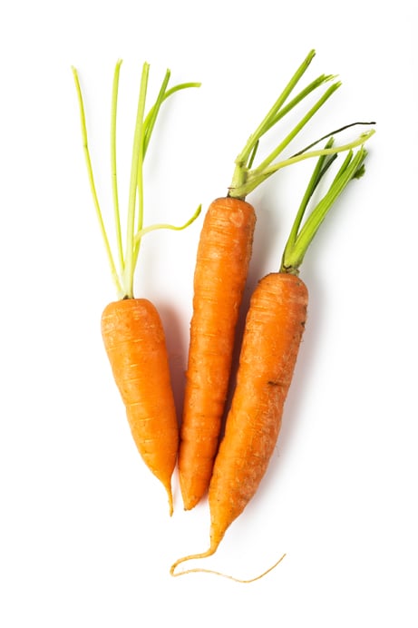 Infusion de carotte fraîche (Daucus Carota Sativa)