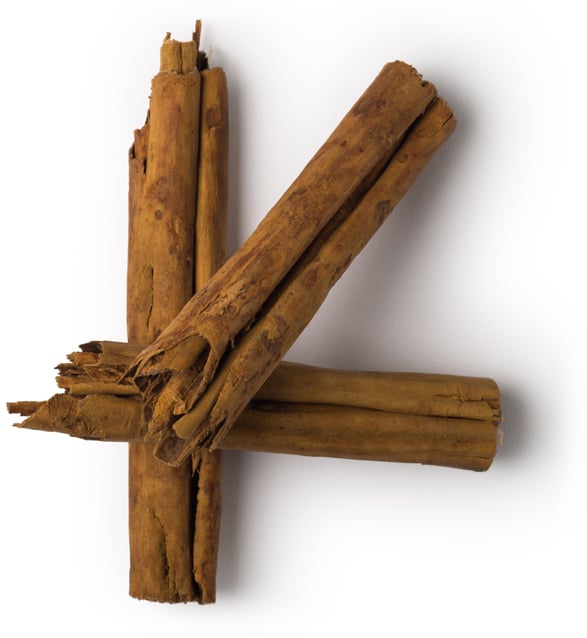 Cinnamon Bark Infusion