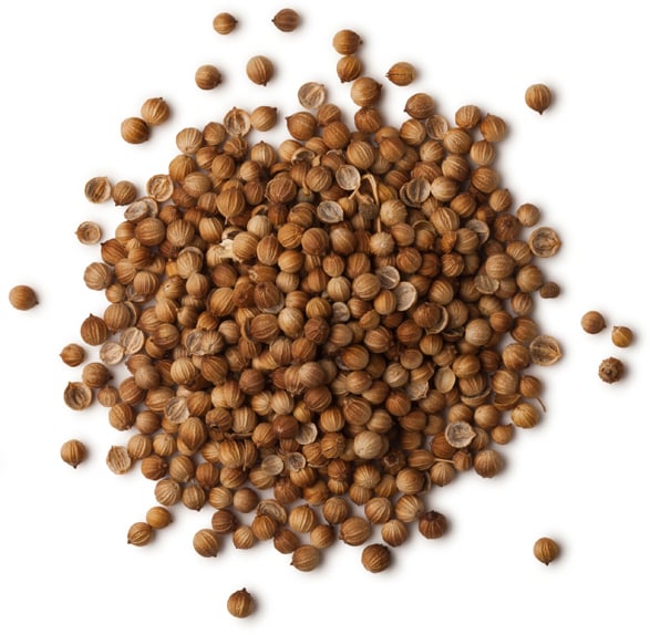 Coriandrum Sativum Seed Oil (koriandrová silice)