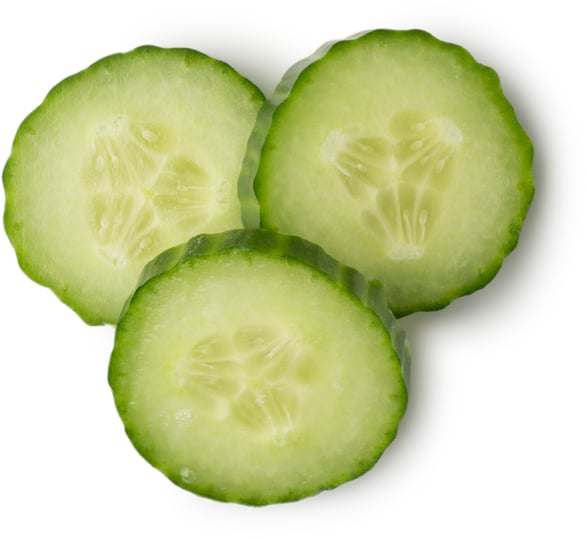 Fresh Cucumber Infusion