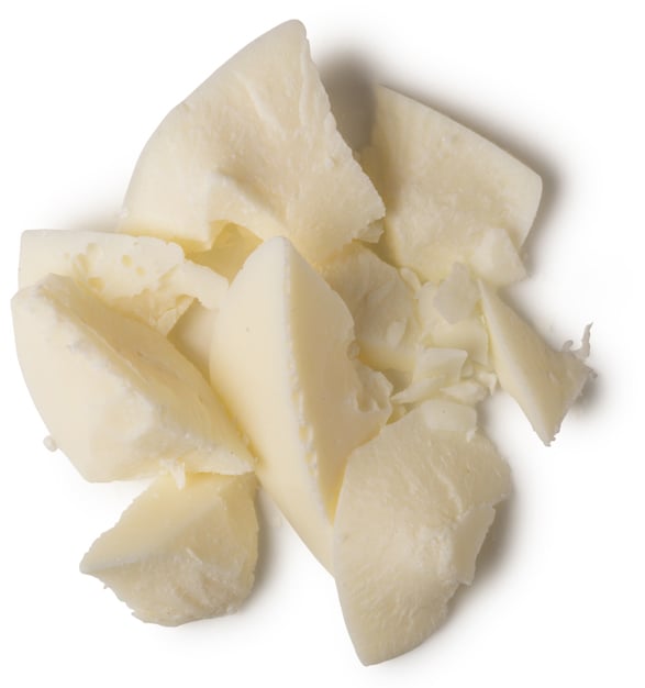 Beurre de cupuaçu (Theobroma grandiflorum)