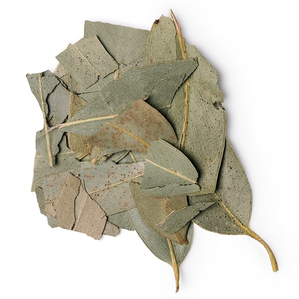 Eucalyptus Globulus Leaf/Twig Oil (Eukalyptusöl)