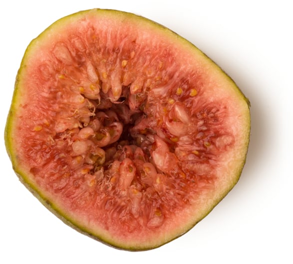 Ficus Carica Fruit Juice (Świeży Sok z Fig)