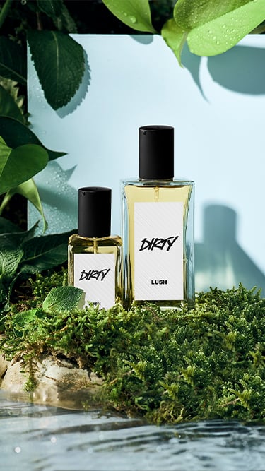 Story - Dirty - Perfume
