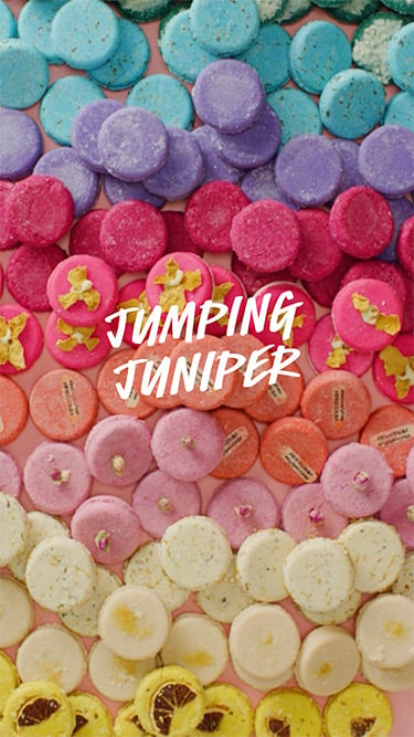 Jumping Juniper