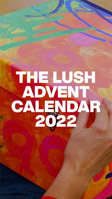 Story: Advent Calendar 22