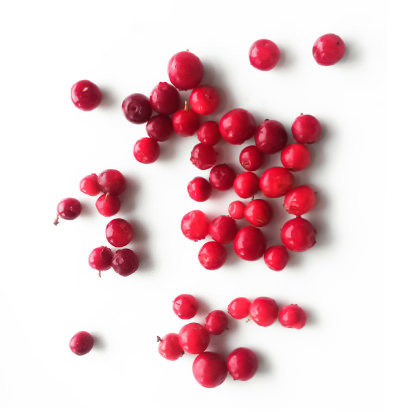 Lingonberry Infusion