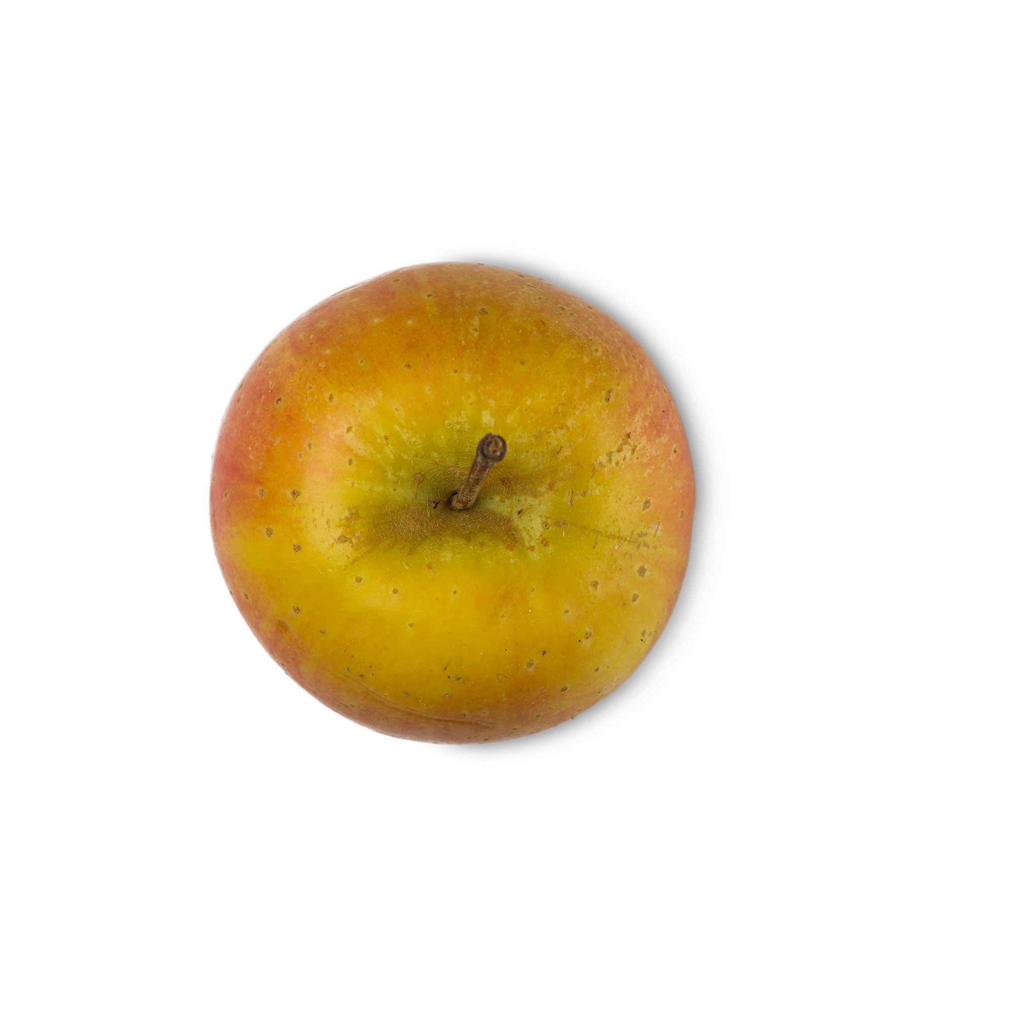 Malus Domestica Fruit Extract (jabłka w proszku)