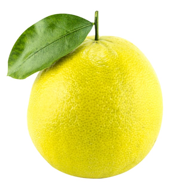 香檸檬