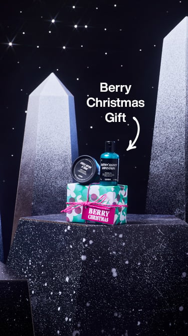 Story: Christmas 23 - Berry Christmas - Gift