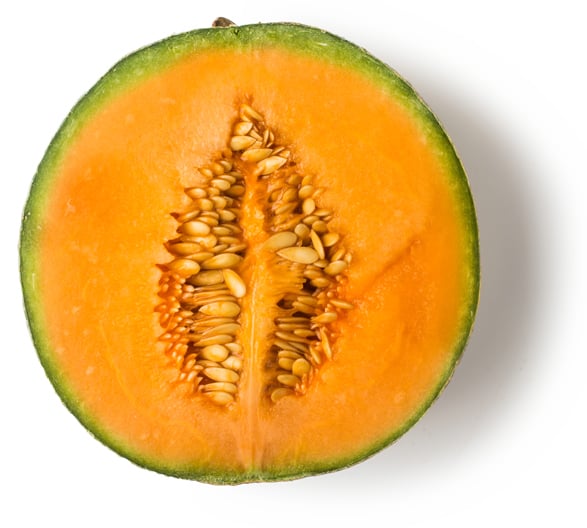 Infusion de melon cantaloup frais (Cucumis cantalupensis)