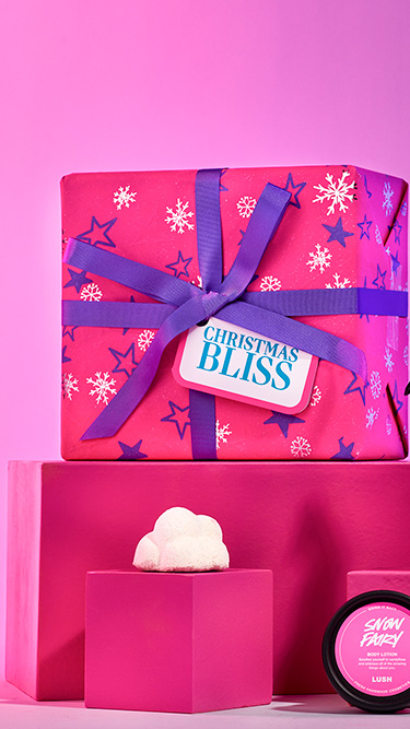 Story: Christmas Bliss Gift