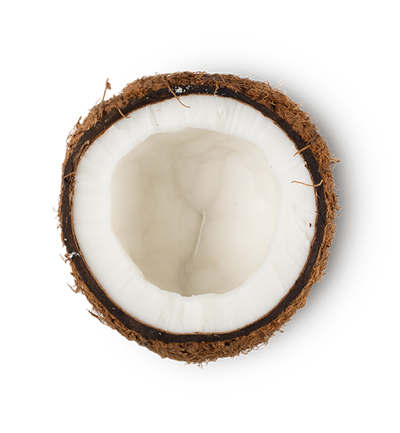 Farine de noix de coco (Cocos nucifera)