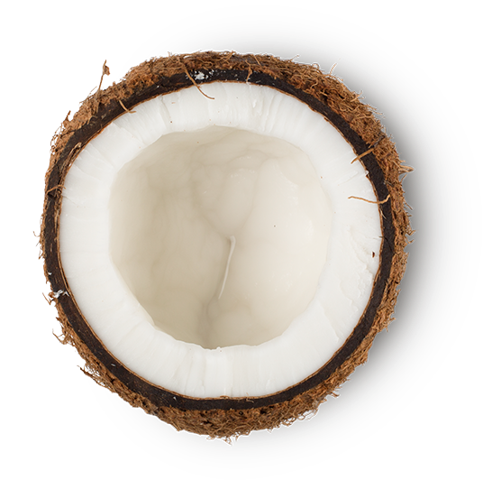 Huile de noix de coco vierge bio