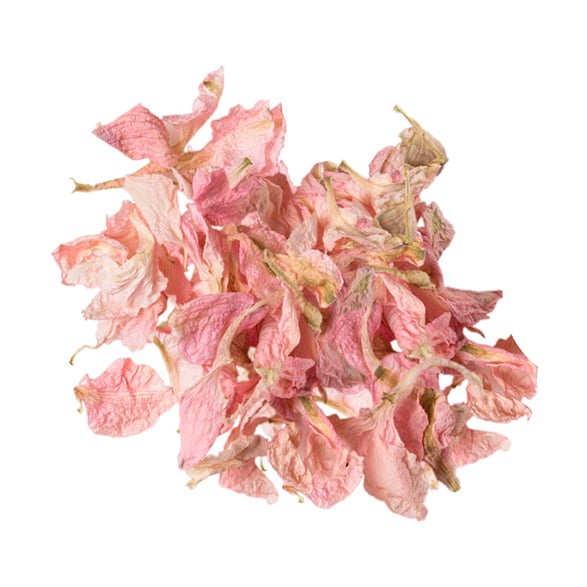 Pétales de dauphinelle rose séchés (Delphinium consolida)