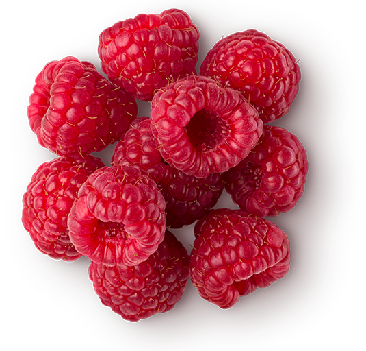 Jus de framboise (Rubus idaeus)