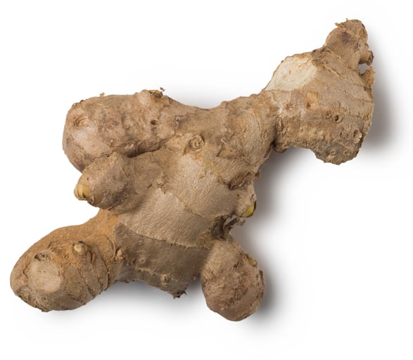 Fresh Organic Ginger Root Infusion