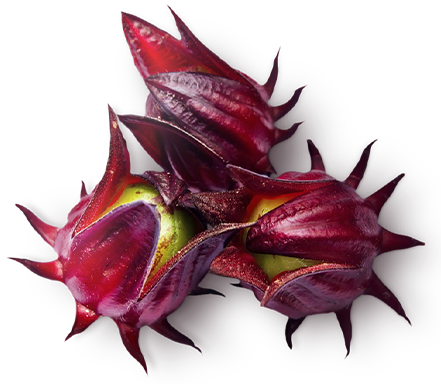 Poudre de fleur d'hibiscus