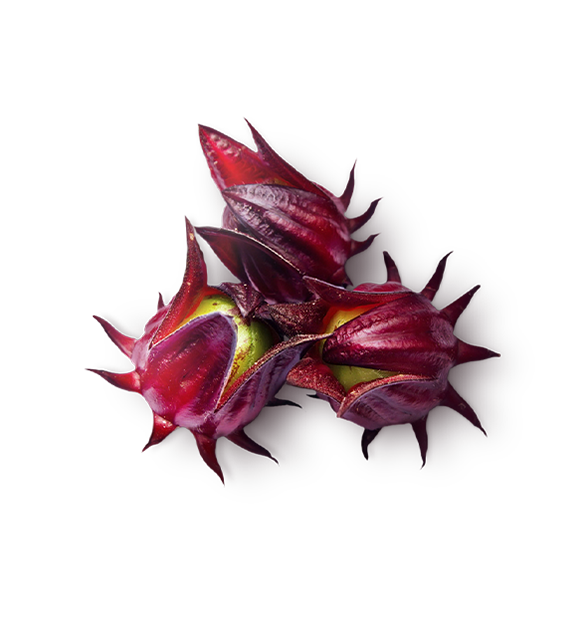 Flores de Hibisco Extraídas em Azeite Virgem Extra Orgânico
