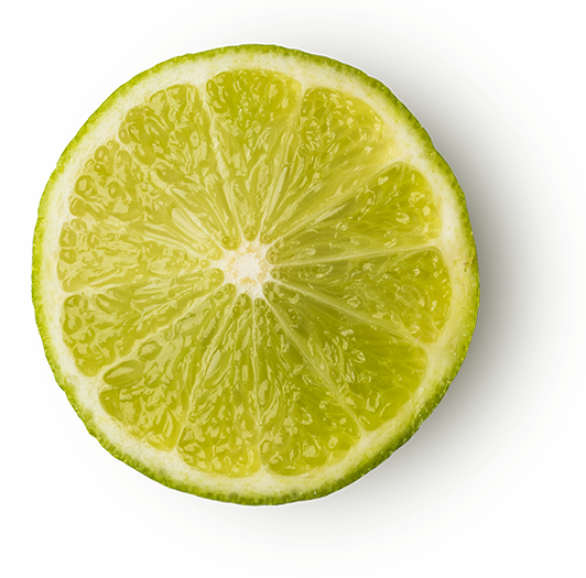 Citron vert frais bio extrait dans de la vodka (Citrus aurantifolia)