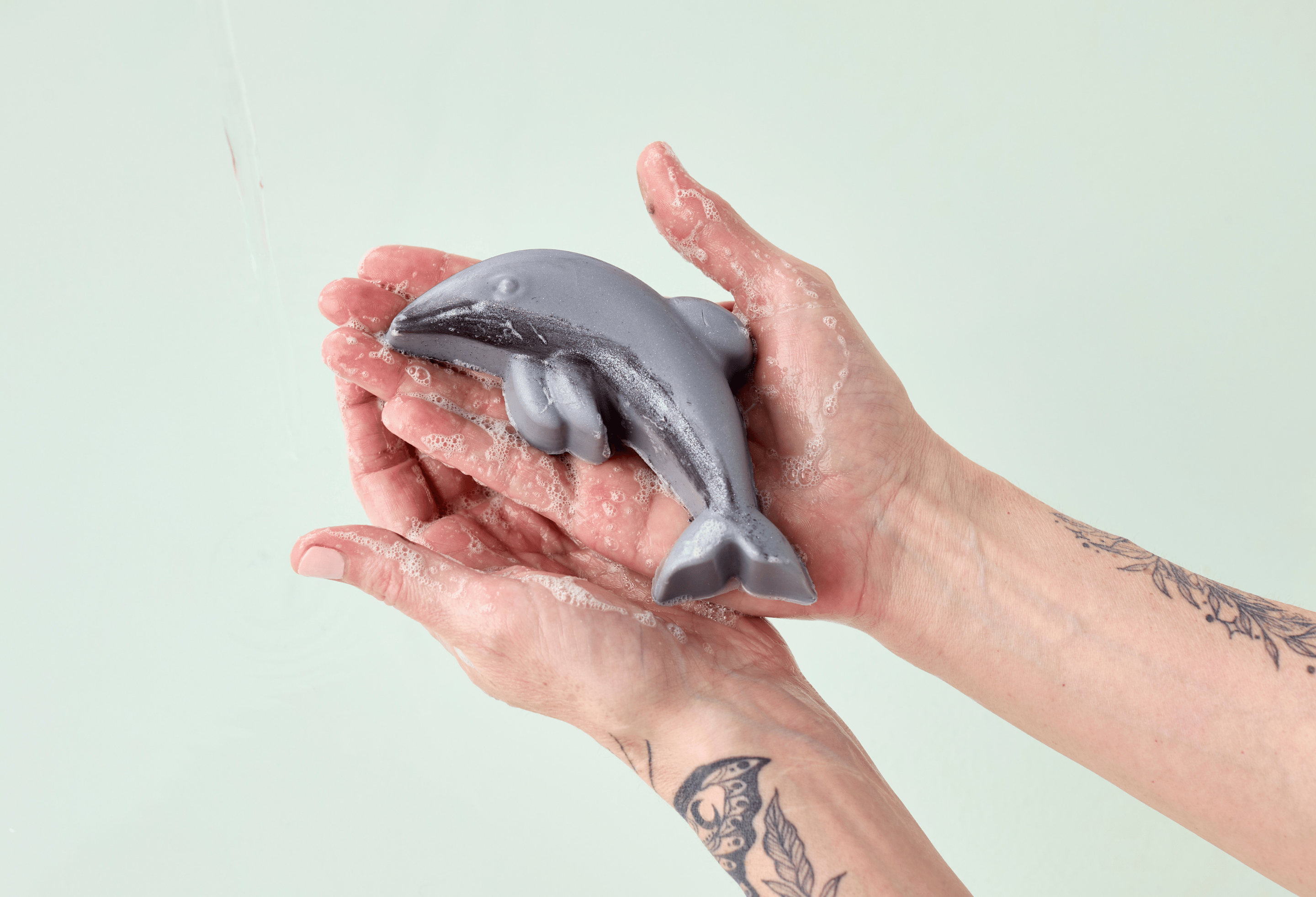 Protect the Māui dolphin