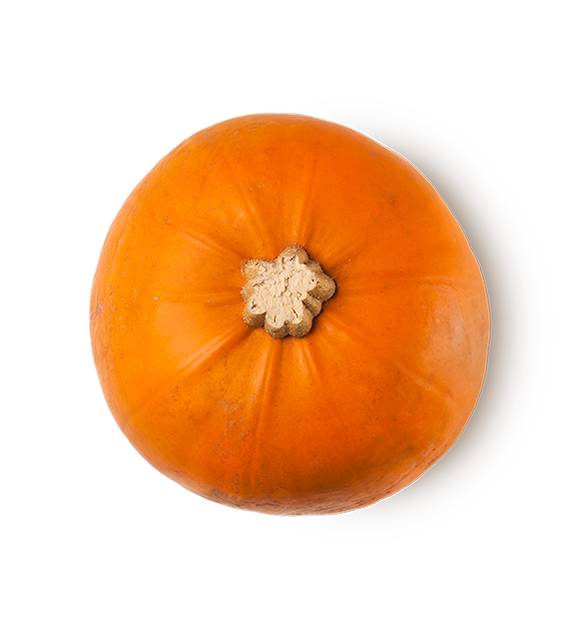 pumpkin_fresh_2021__5840c0b8.png