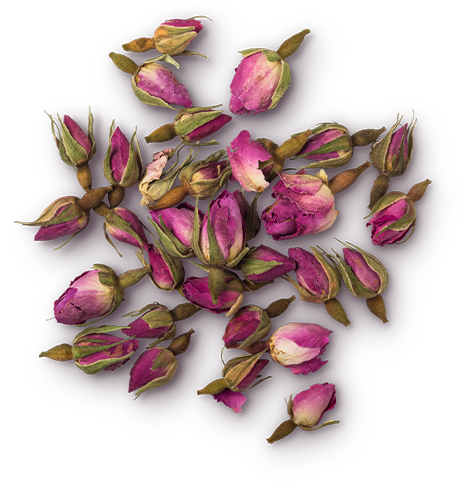 Rosa Centifolia Bud (růžové poupátko)