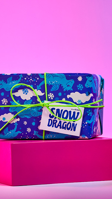 Story: Snow Dragon Gift