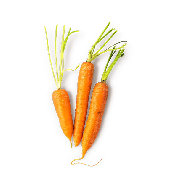 Infusión Fresca de Zanahoria