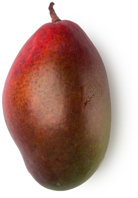 Burro di Mango (Mangifera indica)