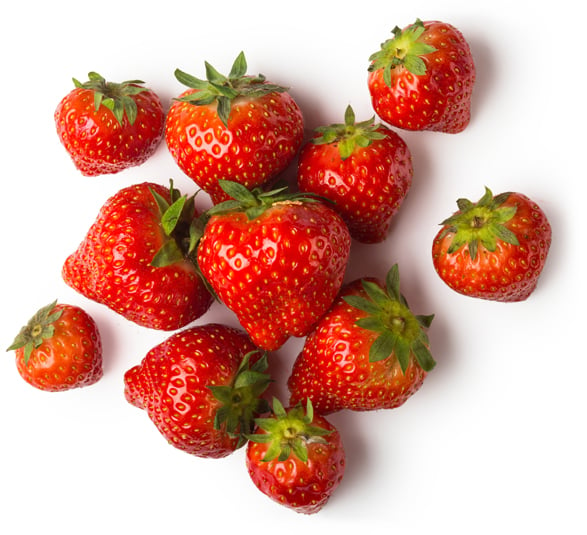 Fragaria Vesca Fruit (frische Erdbeeren)