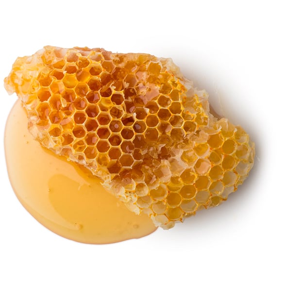 Honeycomb (Plaster Miodu)