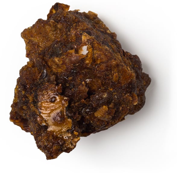 Mirre-olie (Commiphora myrrha)