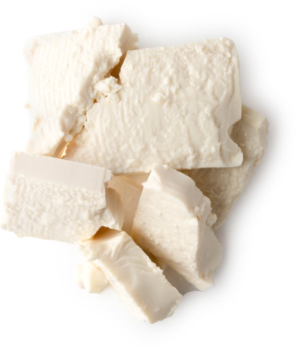 Glycine Soja Extract (jemné tofu)