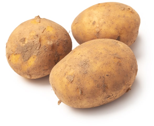 Aardappelen (Solanum tuberosum)