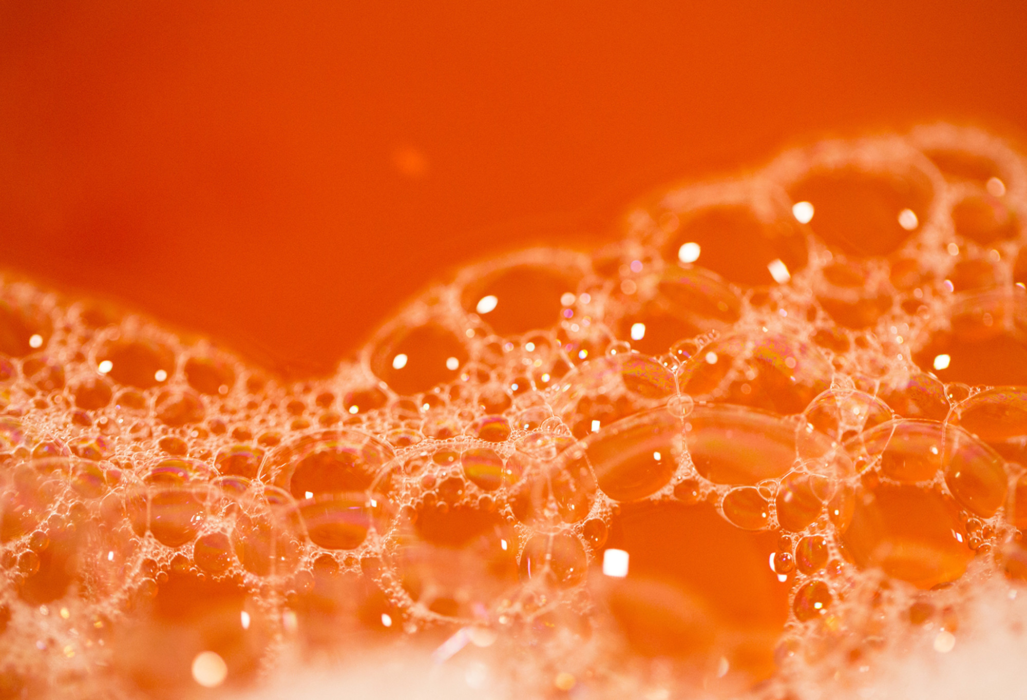 A ground level, close-up shot of huge, transparent bubbles, sitting in bright orange water.