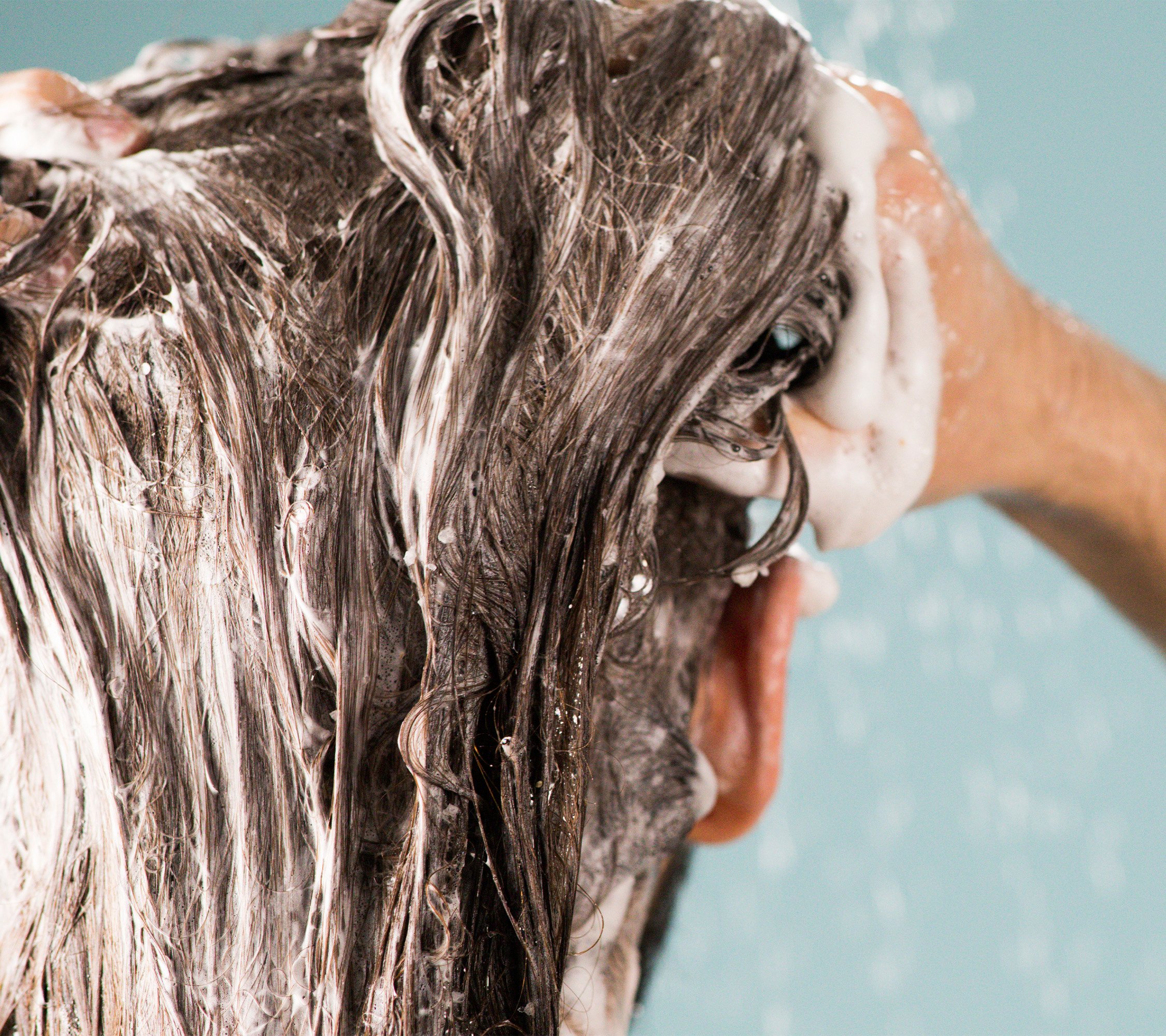 A close-up of the model's hair, as they lather up with luscious, Big shampoo suds working it in with their fingers.
