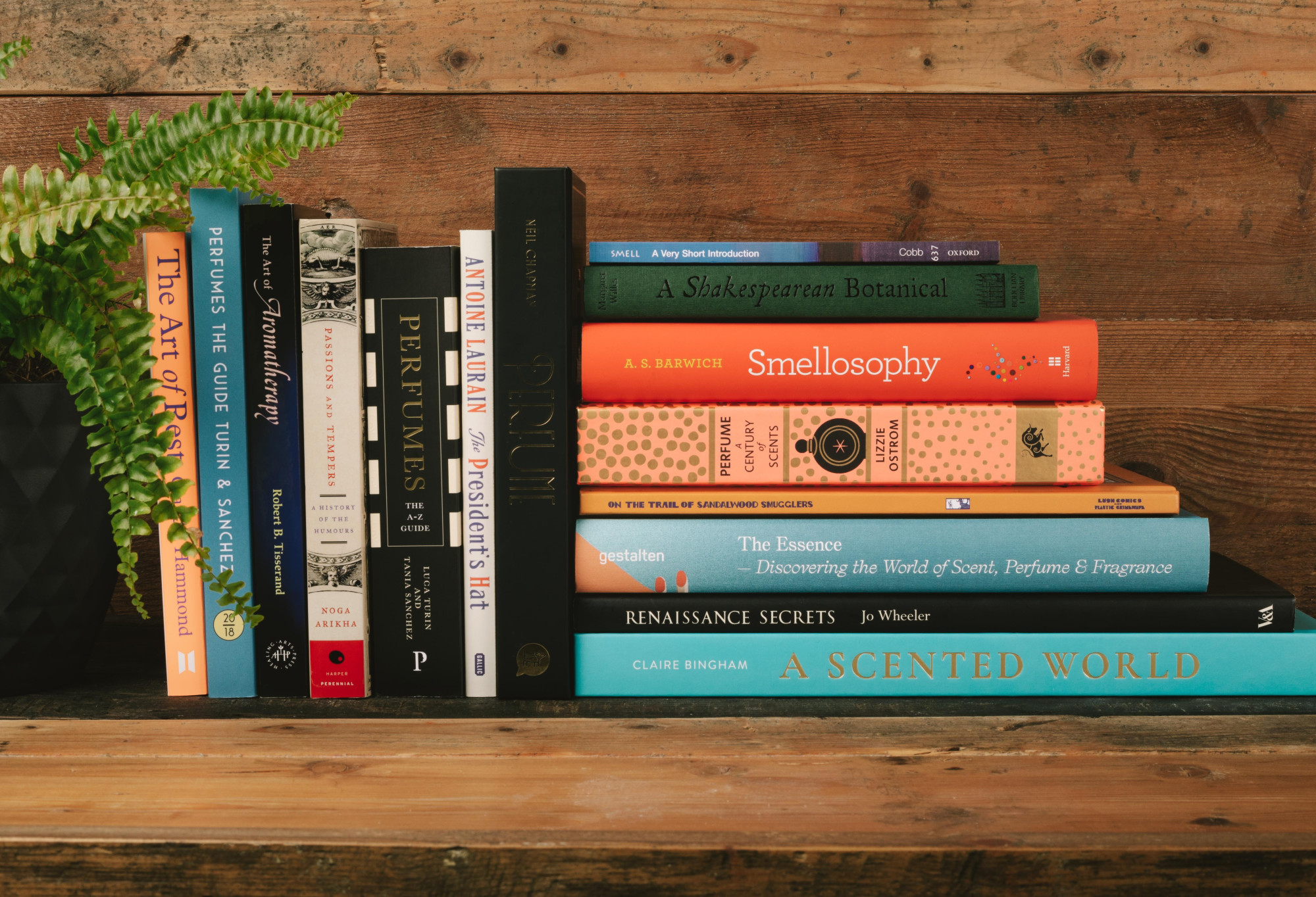 A collection of books Lush stocks, on a wooden background with a fern plant to the left.