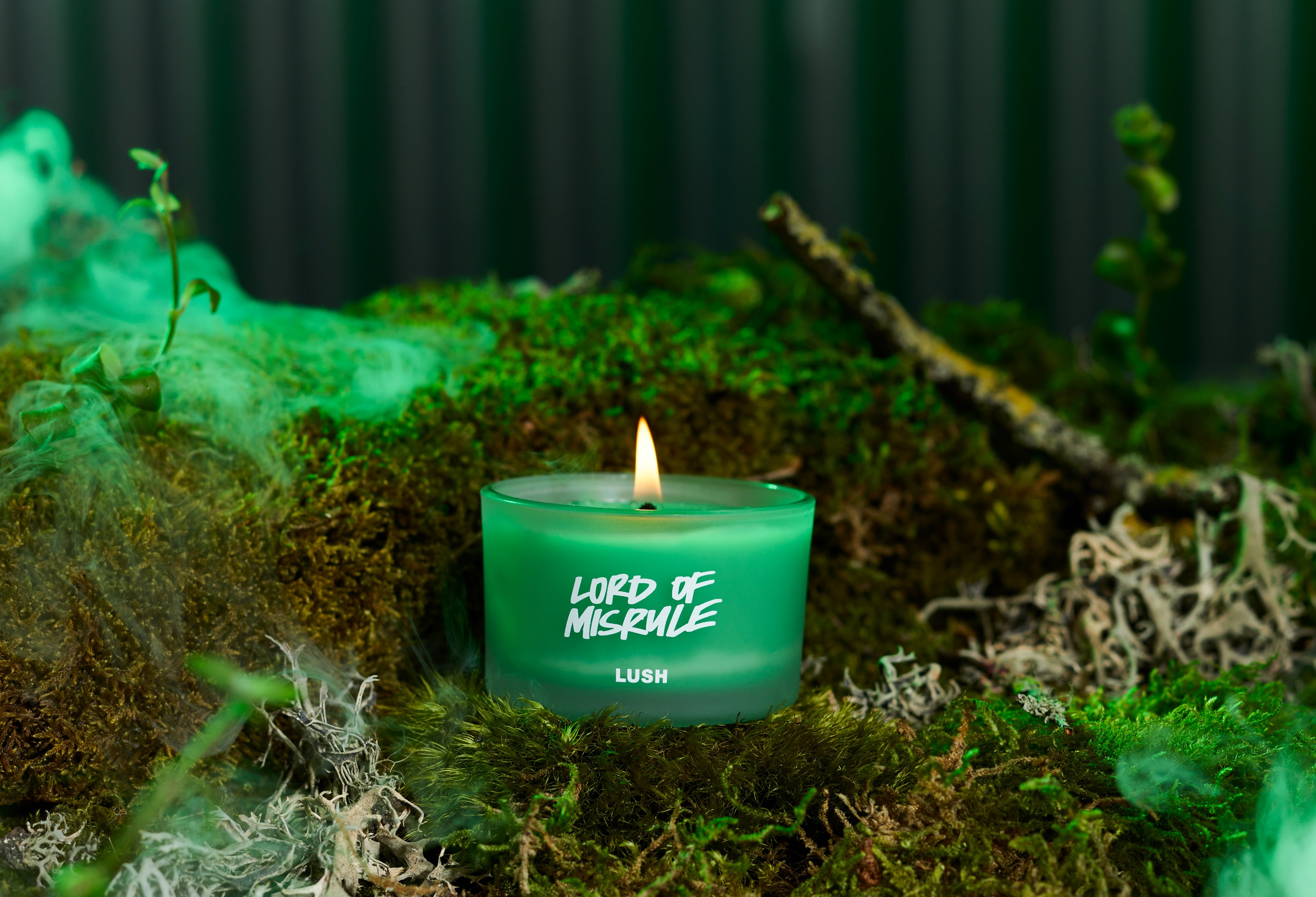 The candle sits alight in a green mossy display.