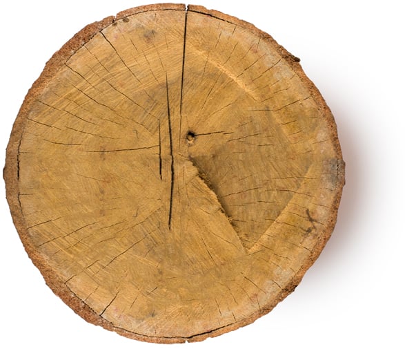 Aniba Rosaeodora Wood Oil (Olejek Eteryczny z Drzewa Różanego)