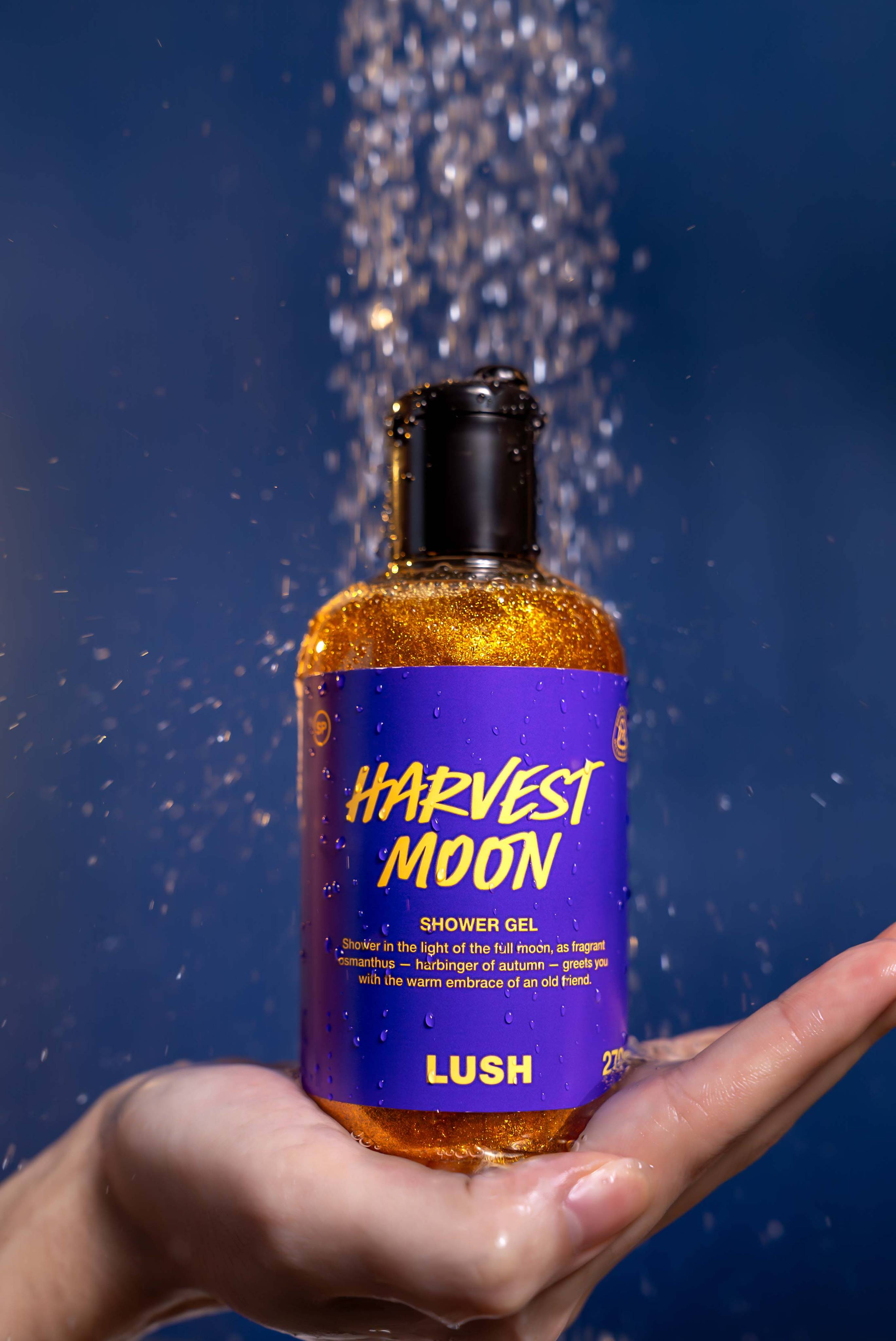 A hand cradles a bottle of glittery golden Lush "Harvest Moon" shower gel. The purple label is speckled with water droplets as a stream of water sprays down over the black cap against a deep blue, out-of-focus background.