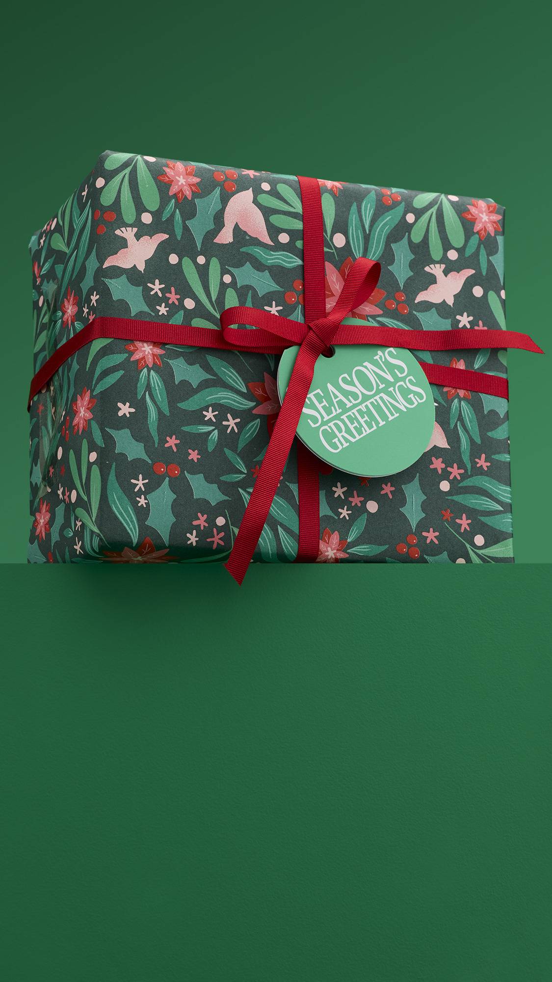 A colorful "Season's Greetings" gift box, with a detailed red, white, and green holiday pattern with birds and flowers. A red ribbon and a green circular tag are tied on top.