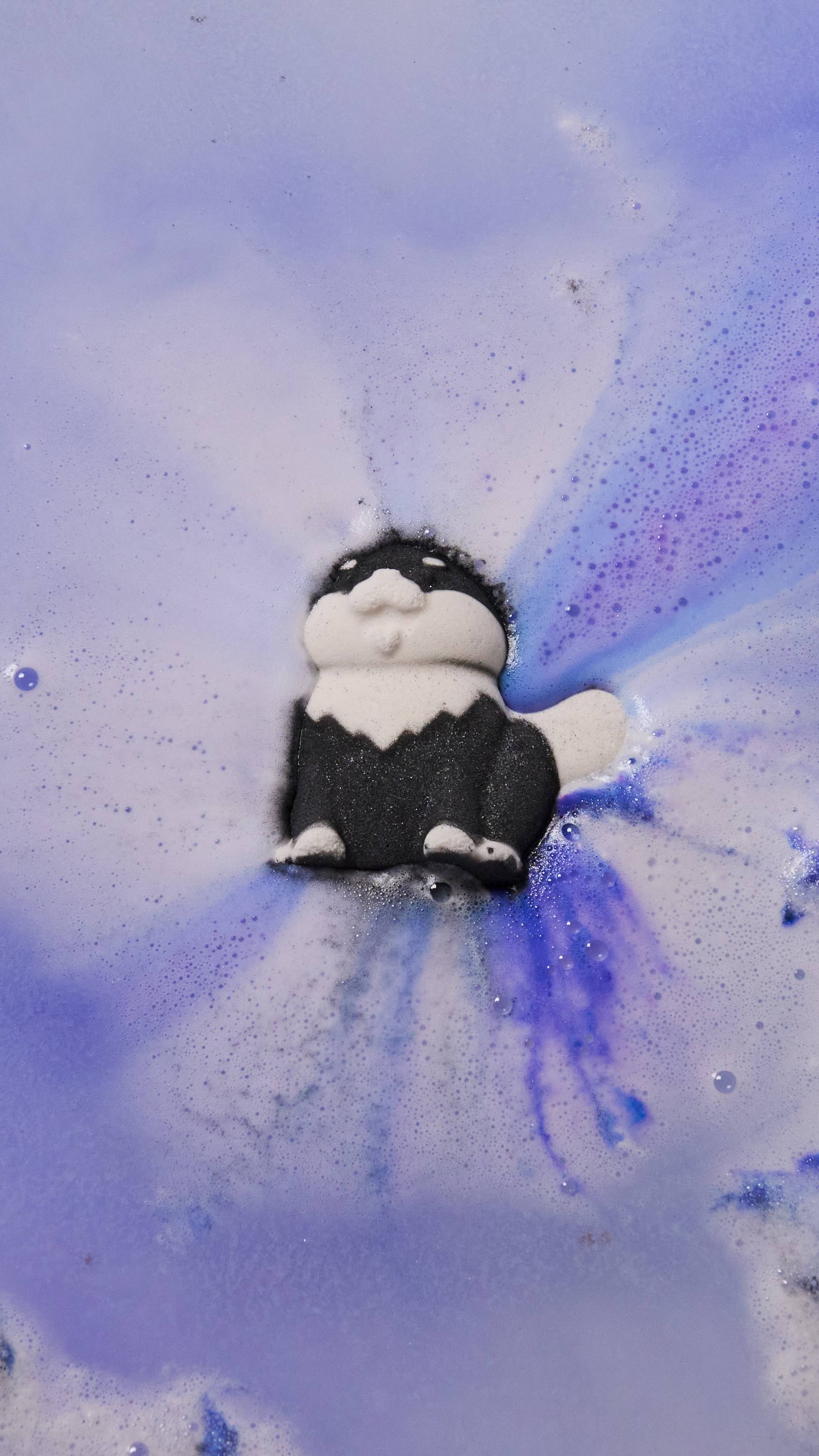 黒柴 ボム