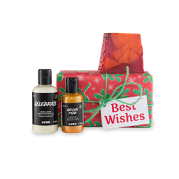 Best Wishes. A rectangular-shaped gift box wrapped in red paper with green leaf and red berry designs with snowflakes, tied with a green bow and white gift tag. Three Lush products sit around the box.