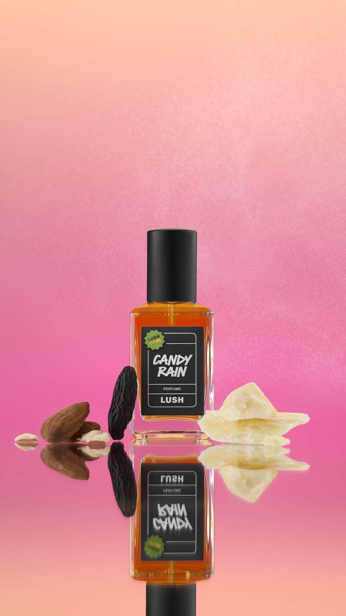 A clear glass bottle of Candy Rain Perfume with amber liquid stands on a reflective surface against an orange and pink gradient background. It is flanked by almonds, a dark raisin, and several pieces of creamy white cocoa butter. 