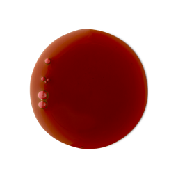 Cherry Pop. A perfectly circular swatch of thick, glossy, caramel, rust-coloured shower gel. 